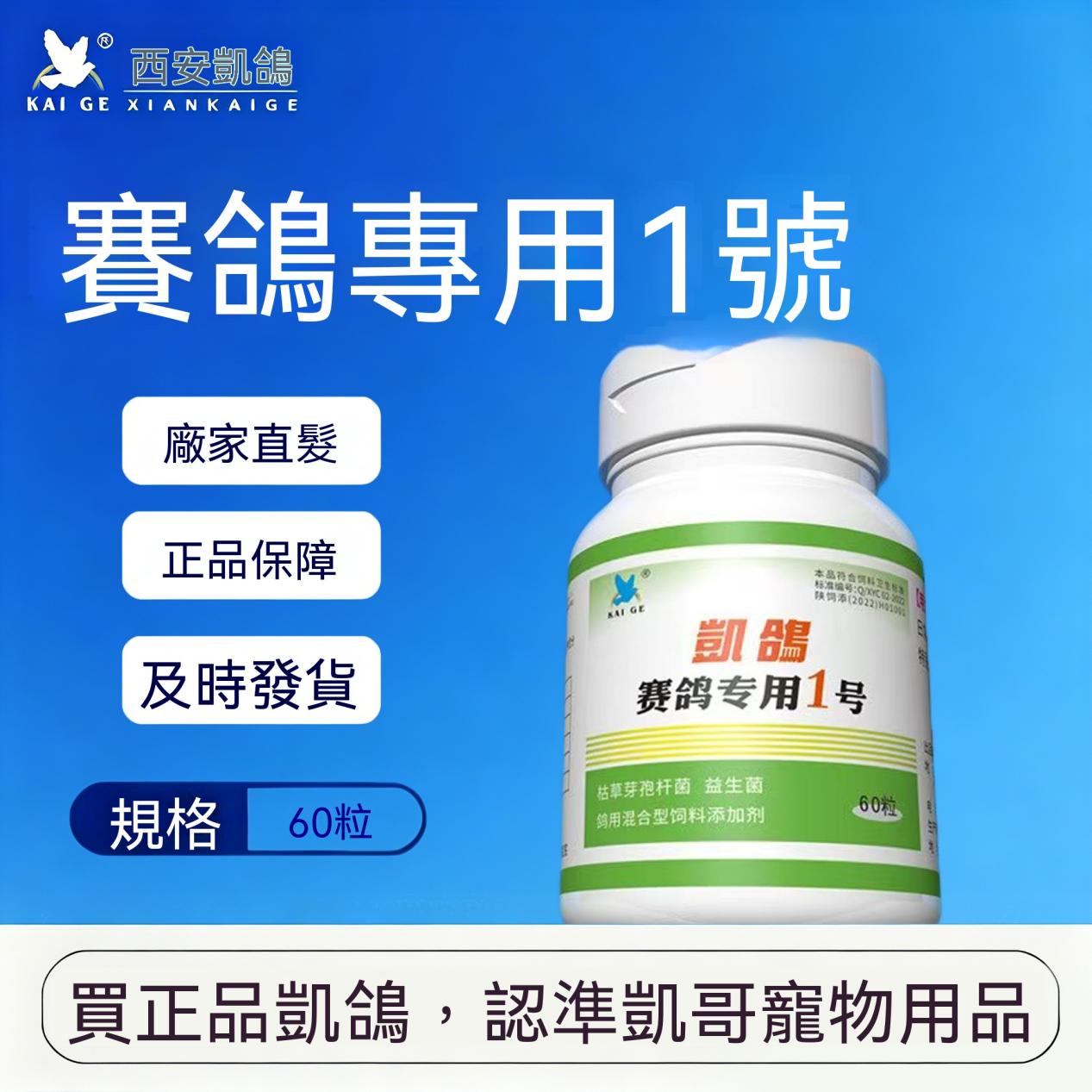 凱鴿1號